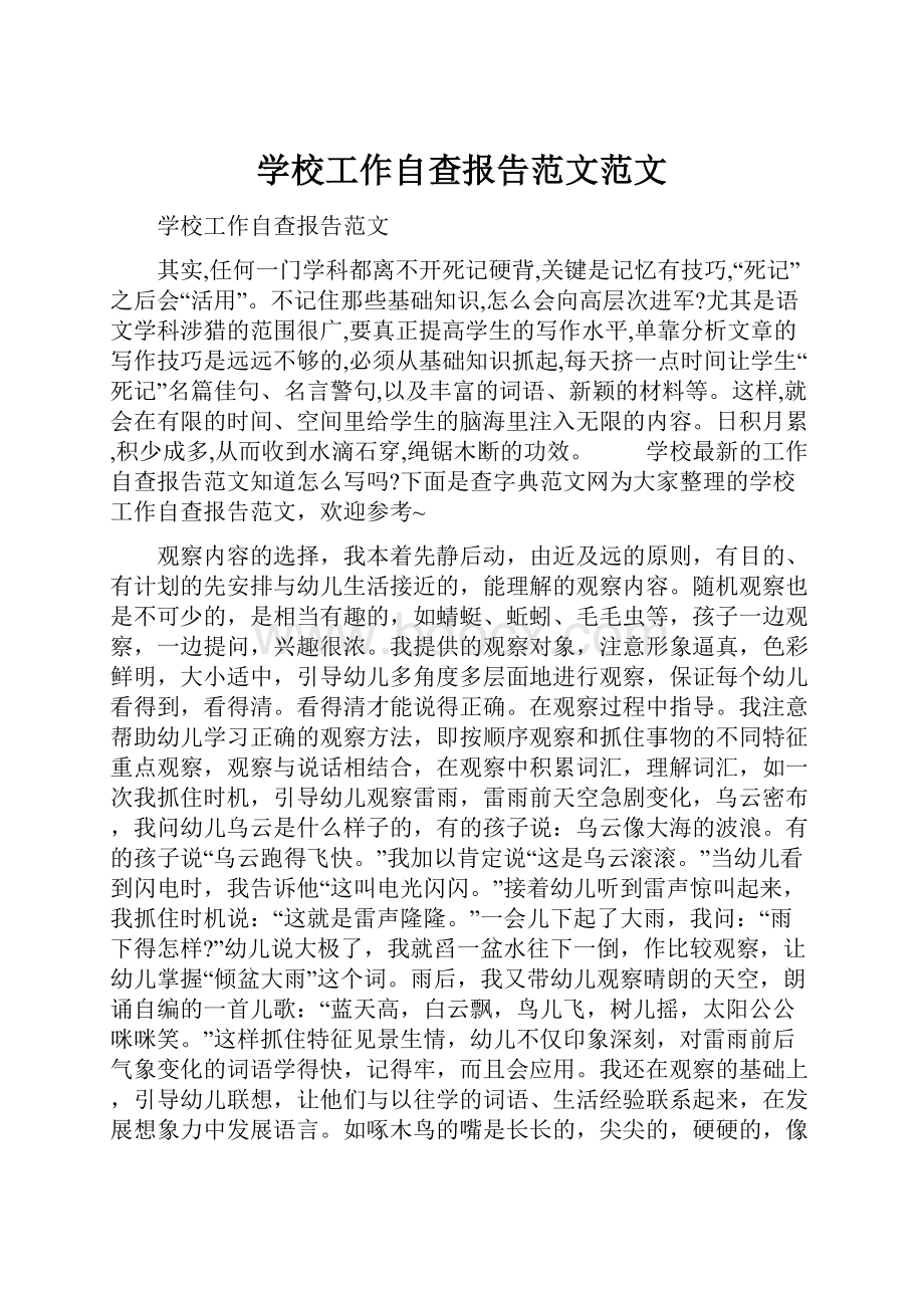 学校工作自查报告范文范文.docx