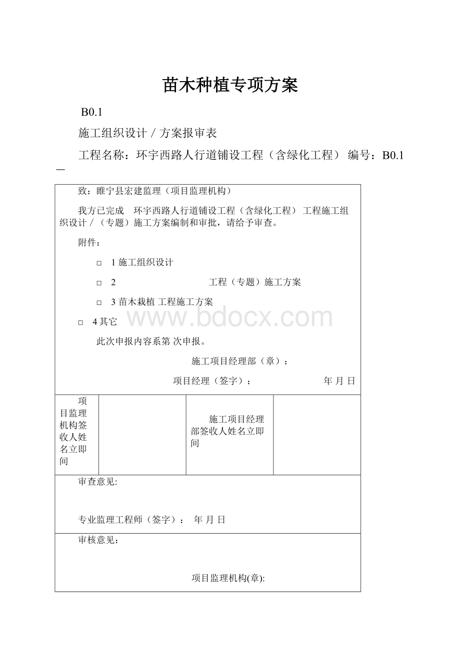 苗木种植专项方案.docx_第1页