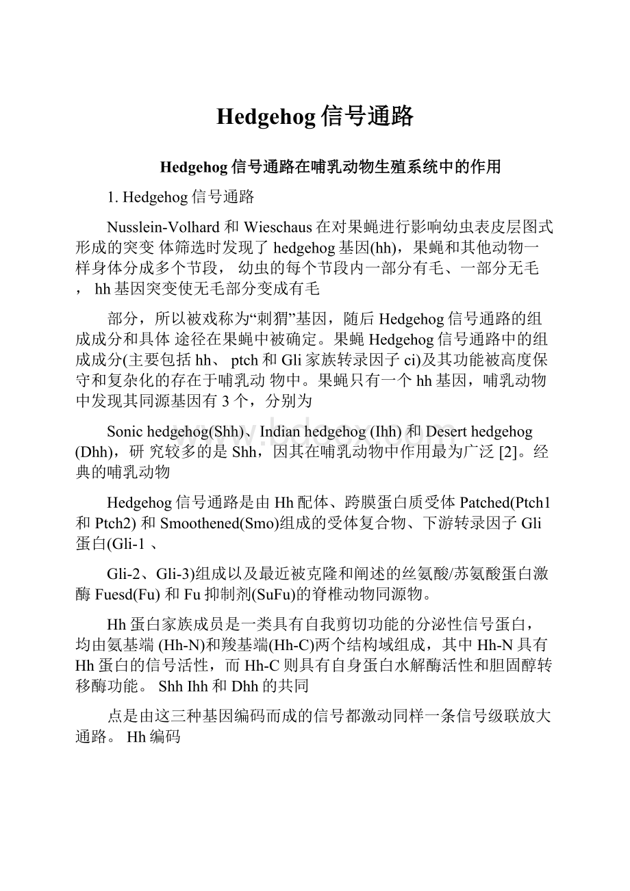 Hedgehog信号通路.docx_第1页