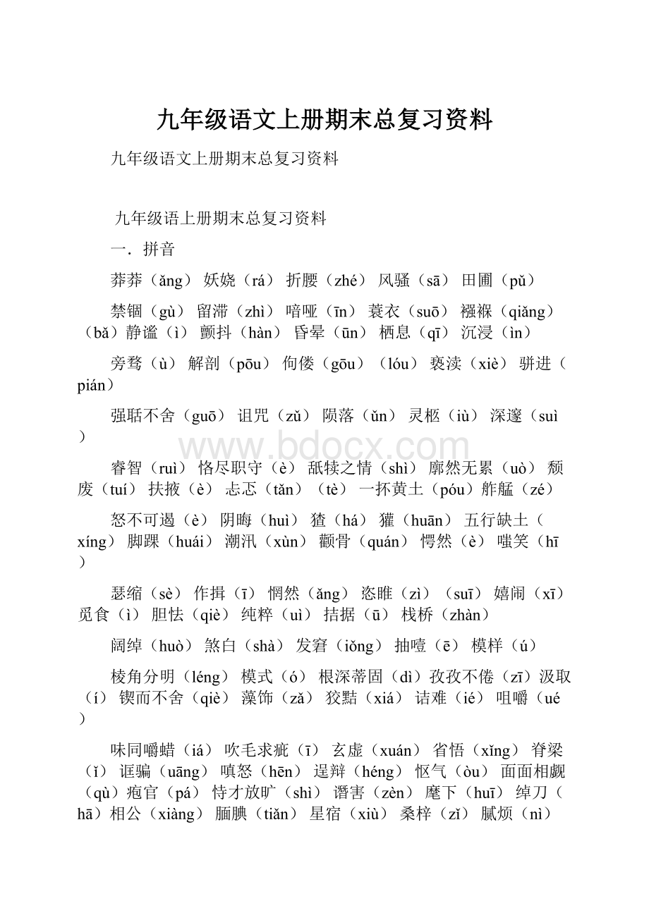 九年级语文上册期末总复习资料.docx_第1页