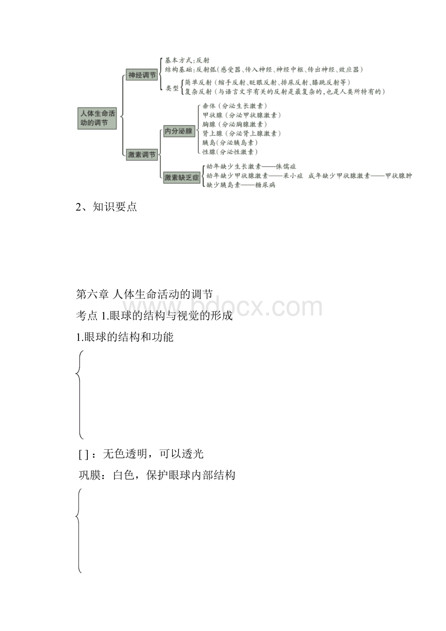 中考生物专题复习第四单元生物圈中的人第六章人体生命活动的调节.docx_第2页