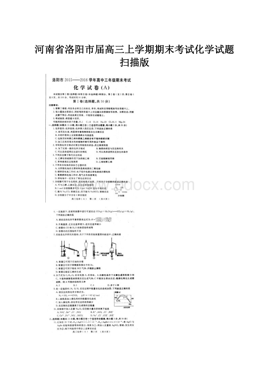 河南省洛阳市届高三上学期期末考试化学试题扫描版.docx