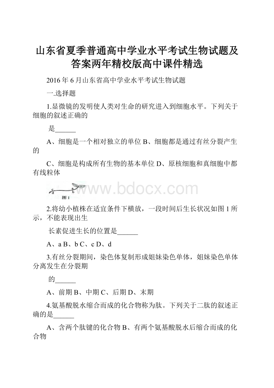 山东省夏季普通高中学业水平考试生物试题及答案两年精校版高中课件精选.docx