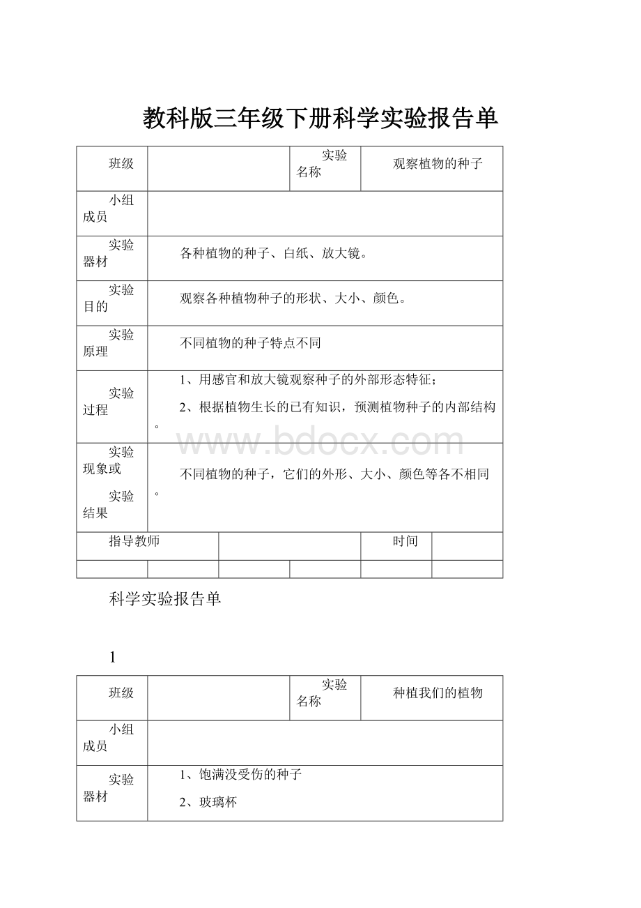 教科版三年级下册科学实验报告单.docx_第1页