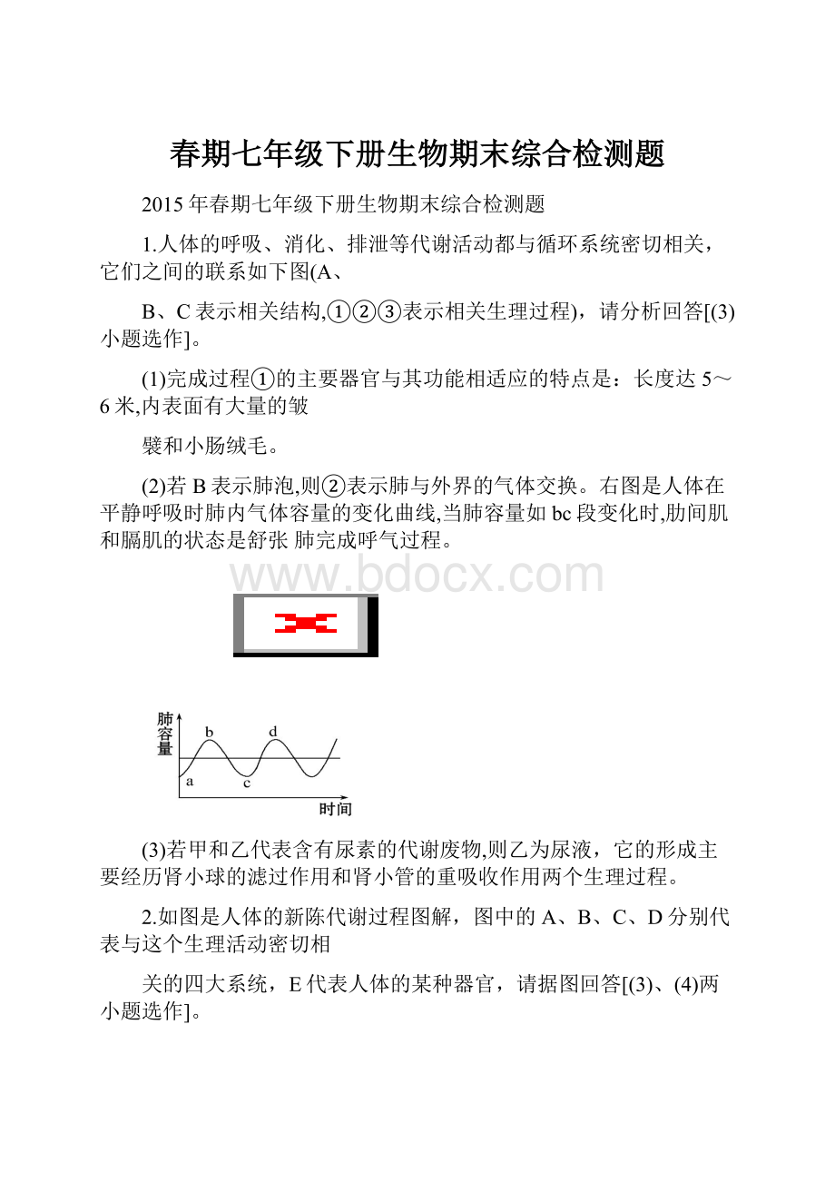 春期七年级下册生物期末综合检测题.docx