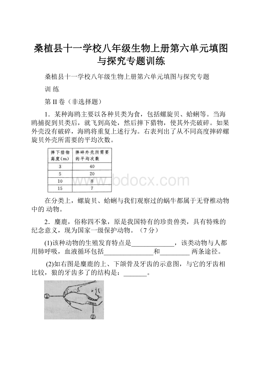 桑植县十一学校八年级生物上册第六单元填图与探究专题训练.docx