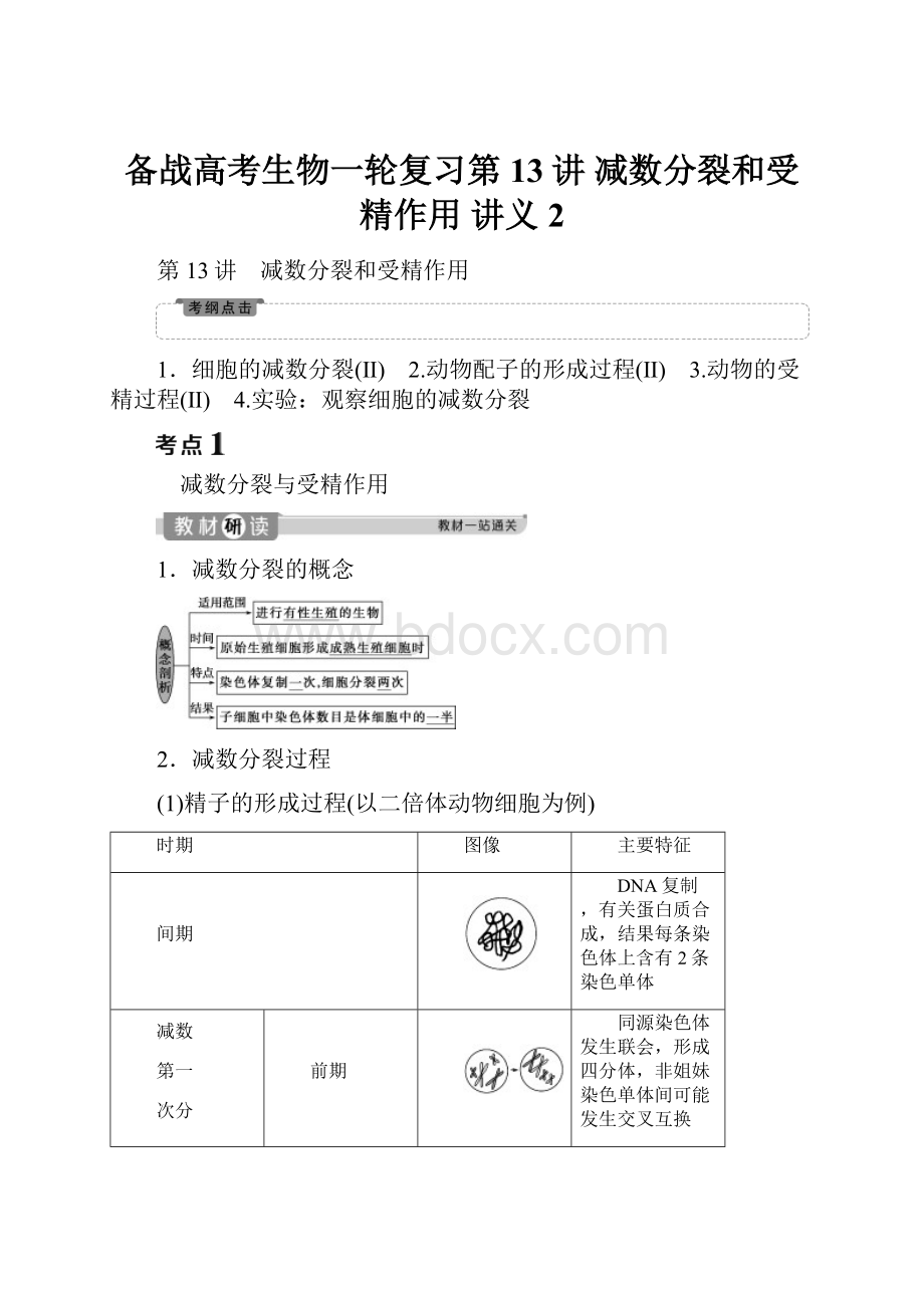 备战高考生物一轮复习第13讲 减数分裂和受精作用 讲义 2.docx_第1页