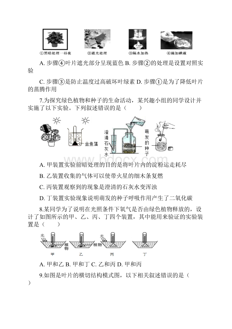 山东省泰安市学年下学期八年级生物中考易错题绿色植物与生物圈中的碳氧平衡.docx_第3页