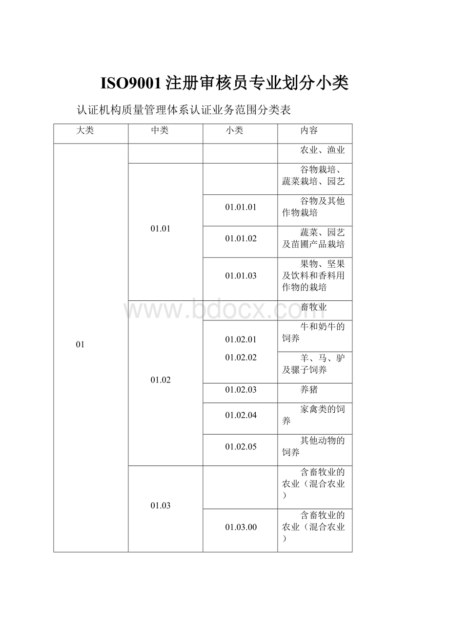 ISO9001注册审核员专业划分小类.docx_第1页