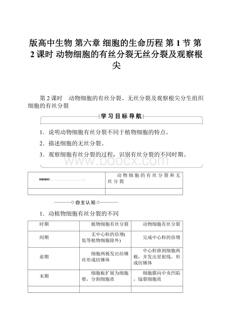 版高中生物 第六章 细胞的生命历程 第1节 第2课时 动物细胞的有丝分裂无丝分裂及观察根尖.docx_第1页