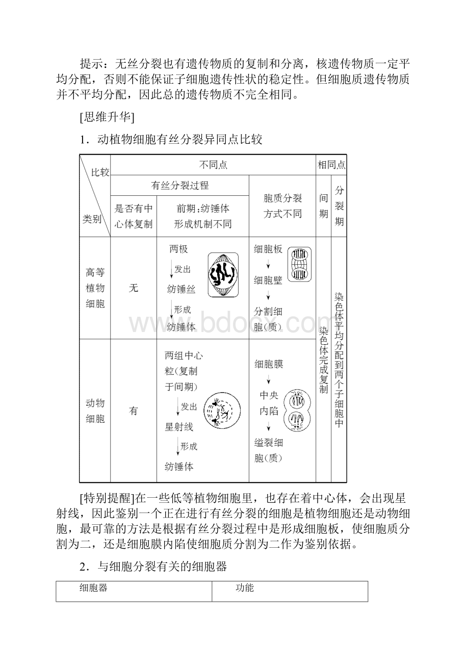 版高中生物 第六章 细胞的生命历程 第1节 第2课时 动物细胞的有丝分裂无丝分裂及观察根尖.docx_第3页