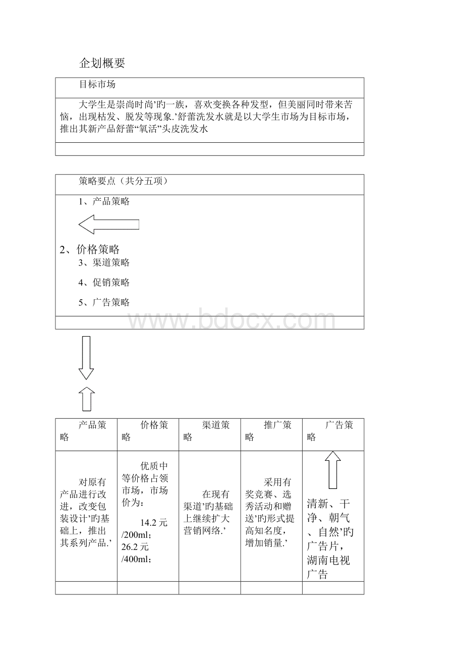 XX品牌洗发水市场推广及营销策划方案.docx_第3页