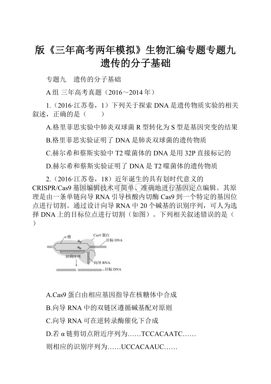 版《三年高考两年模拟》生物汇编专题专题九 遗传的分子基础.docx