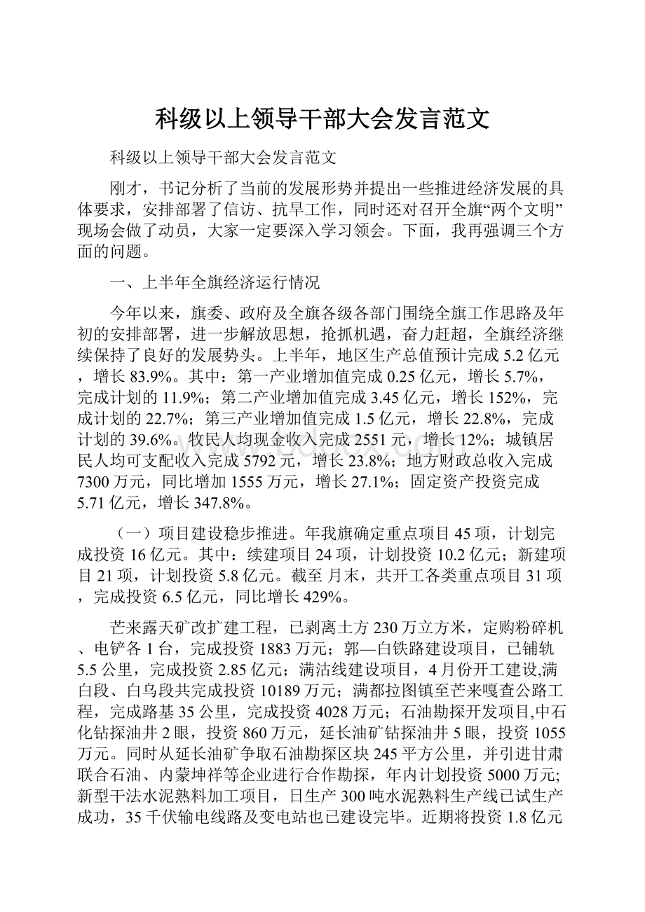 科级以上领导干部大会发言范文.docx