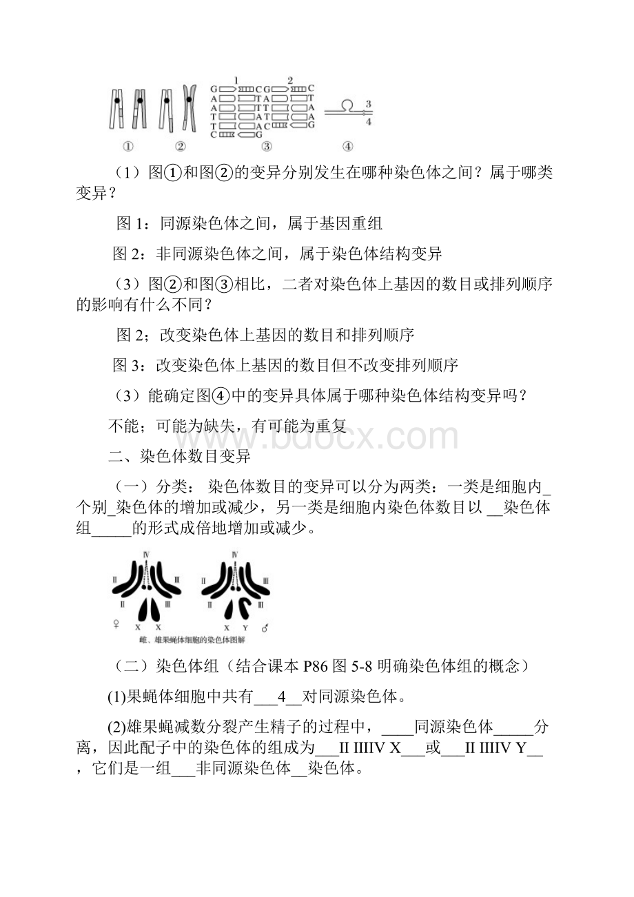 人教版52 染色体变异高中生物同步课堂 课时练习人教版必修2.docx_第3页