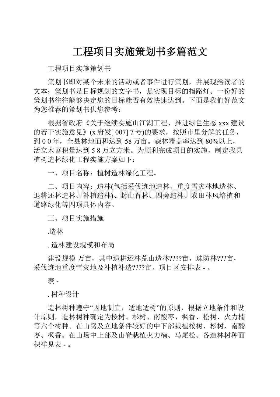 工程项目实施策划书多篇范文.docx