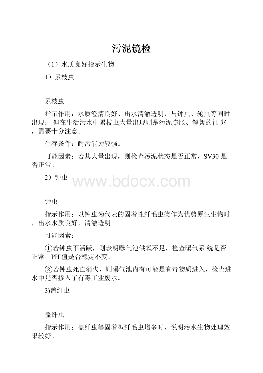 污泥镜检.docx