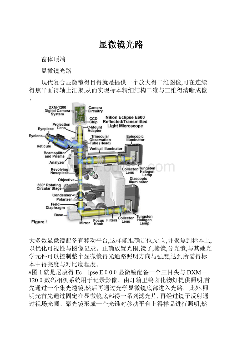 显微镜光路.docx_第1页