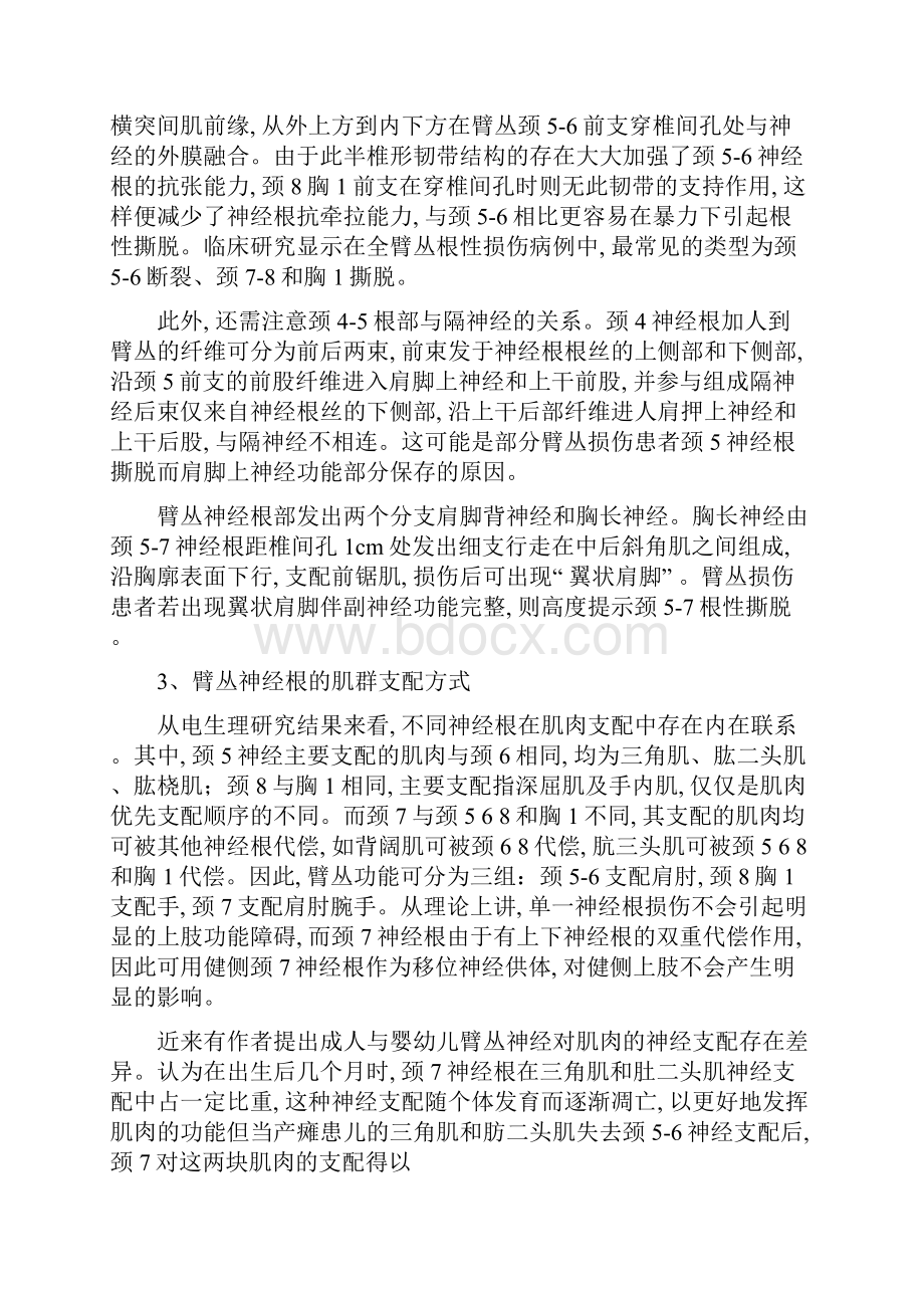 臂丛神经损伤的诊断和治疗.docx_第3页