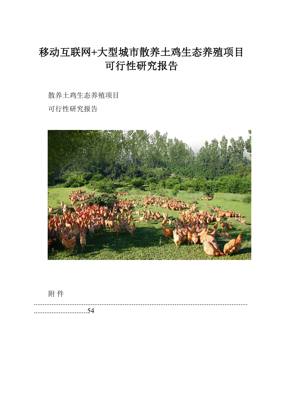 移动互联网+大型城市散养土鸡生态养殖项目可行性研究报告.docx