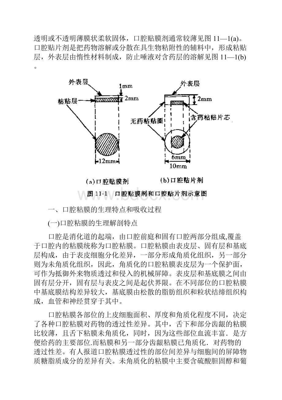 口腔鼻腔与直肠给药新剂型.docx_第2页