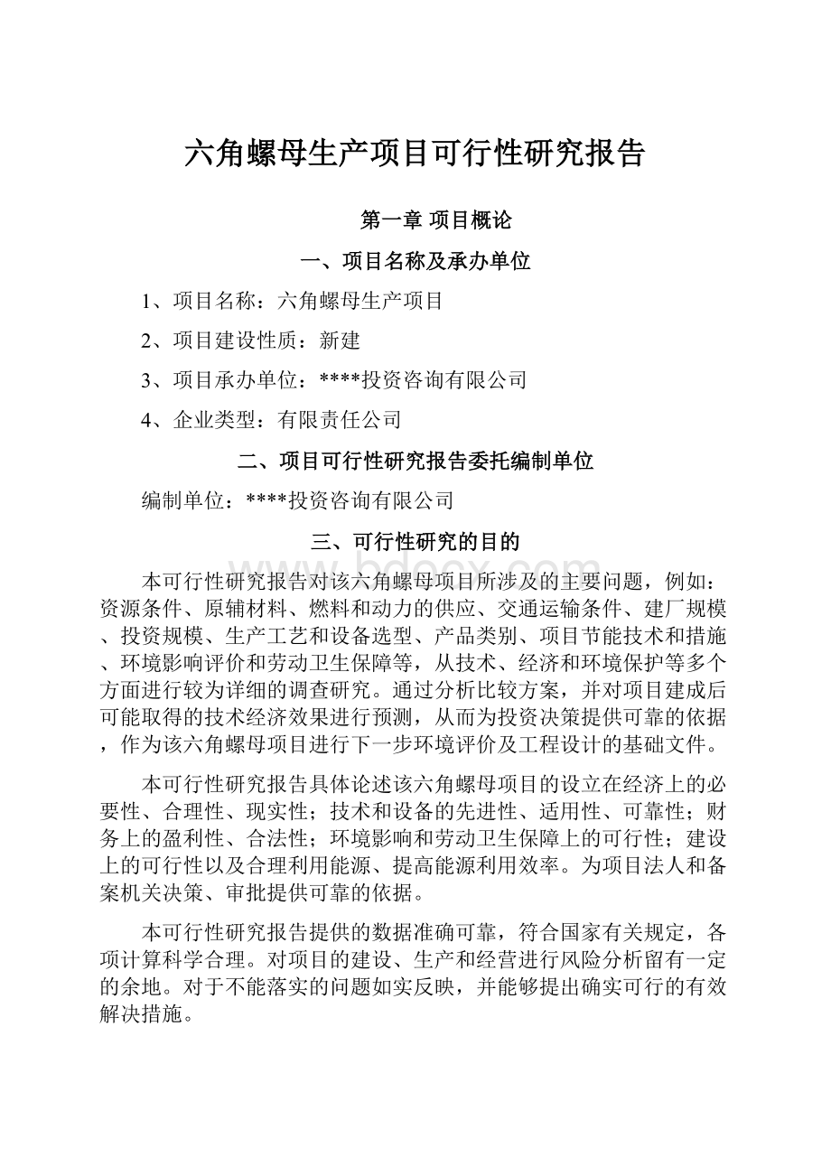 六角螺母生产项目可行性研究报告.docx_第1页