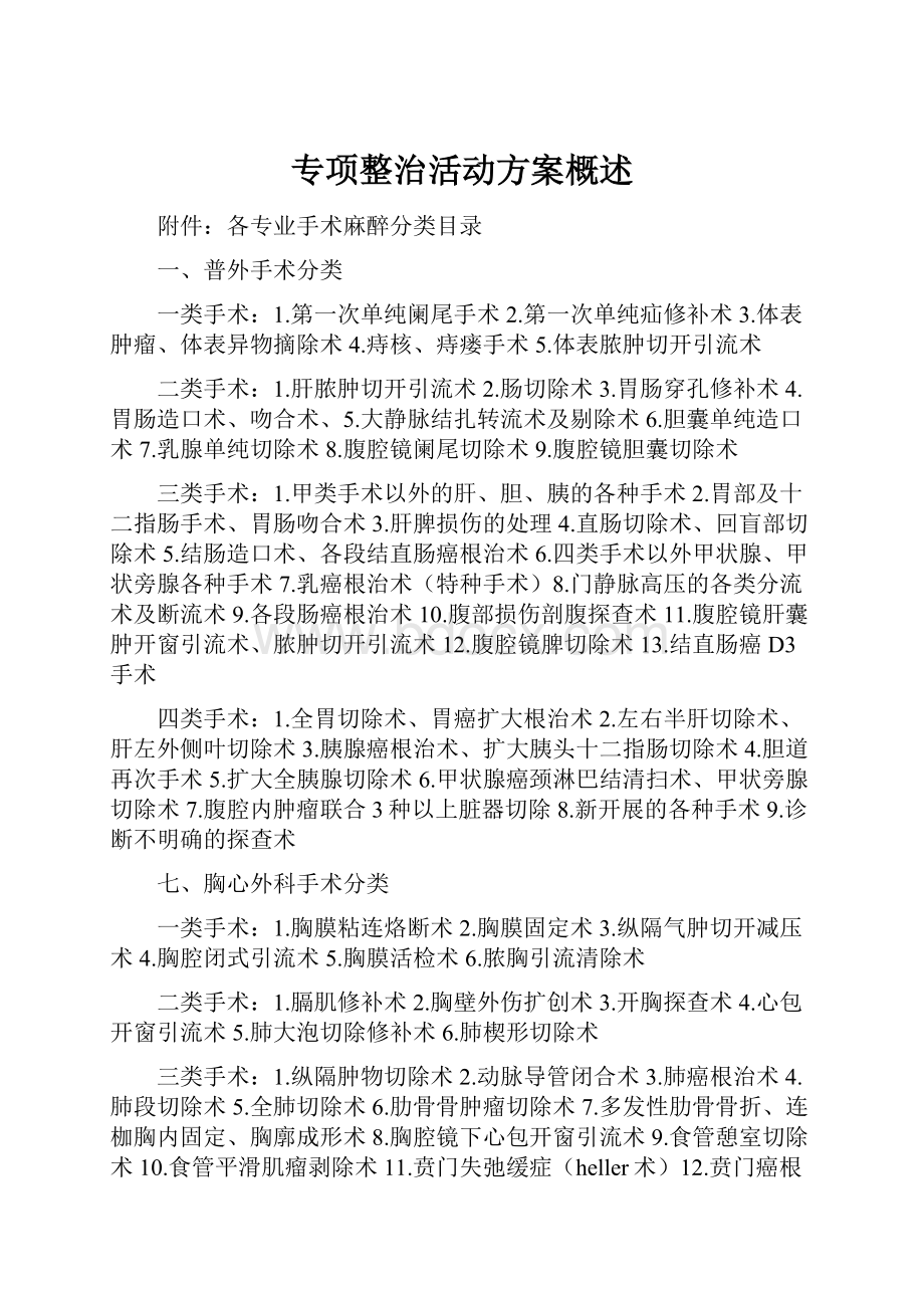 专项整治活动方案概述.docx