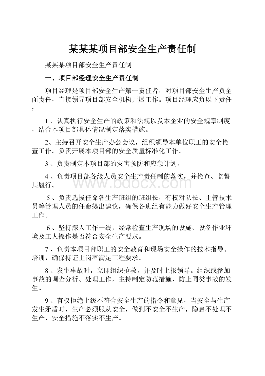 某某某项目部安全生产责任制.docx_第1页