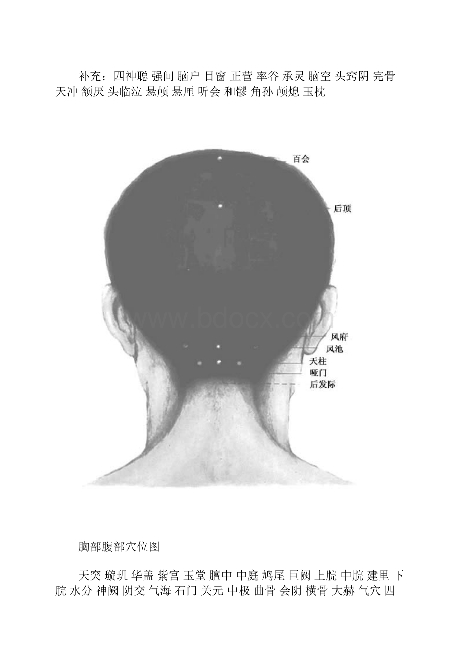 人体穴位图1.docx_第2页