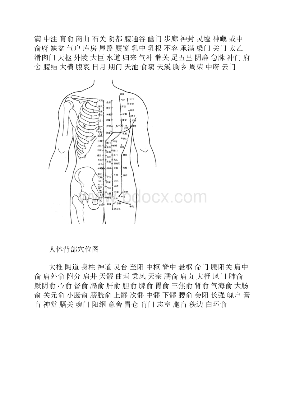 人体穴位图1.docx_第3页