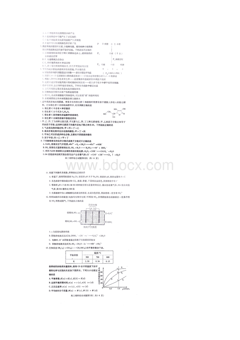 山东省曲阜师范大学附属中学高三下学期模拟理综试题及答案.docx_第2页