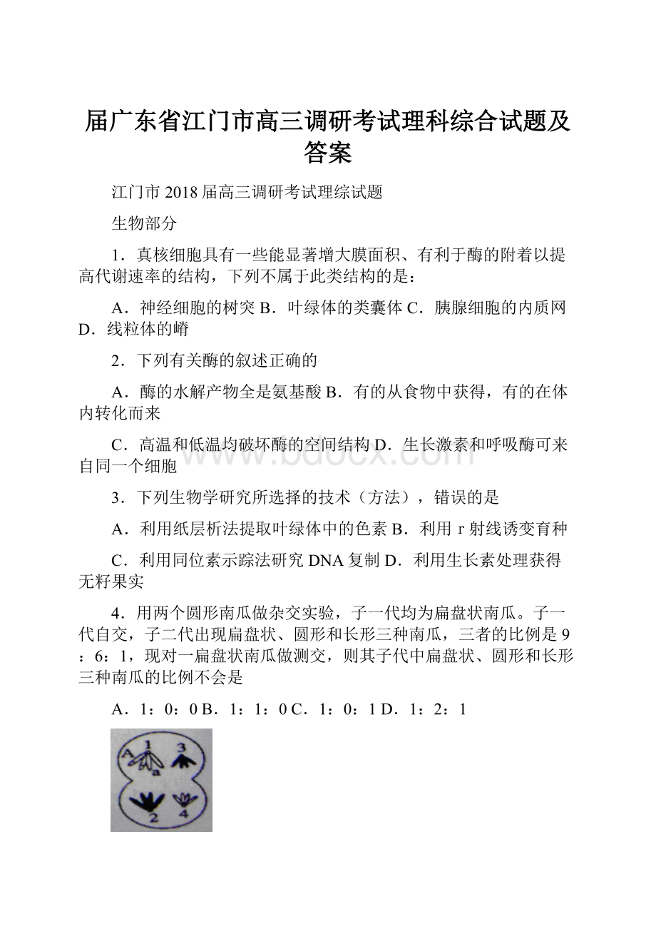 届广东省江门市高三调研考试理科综合试题及答案.docx