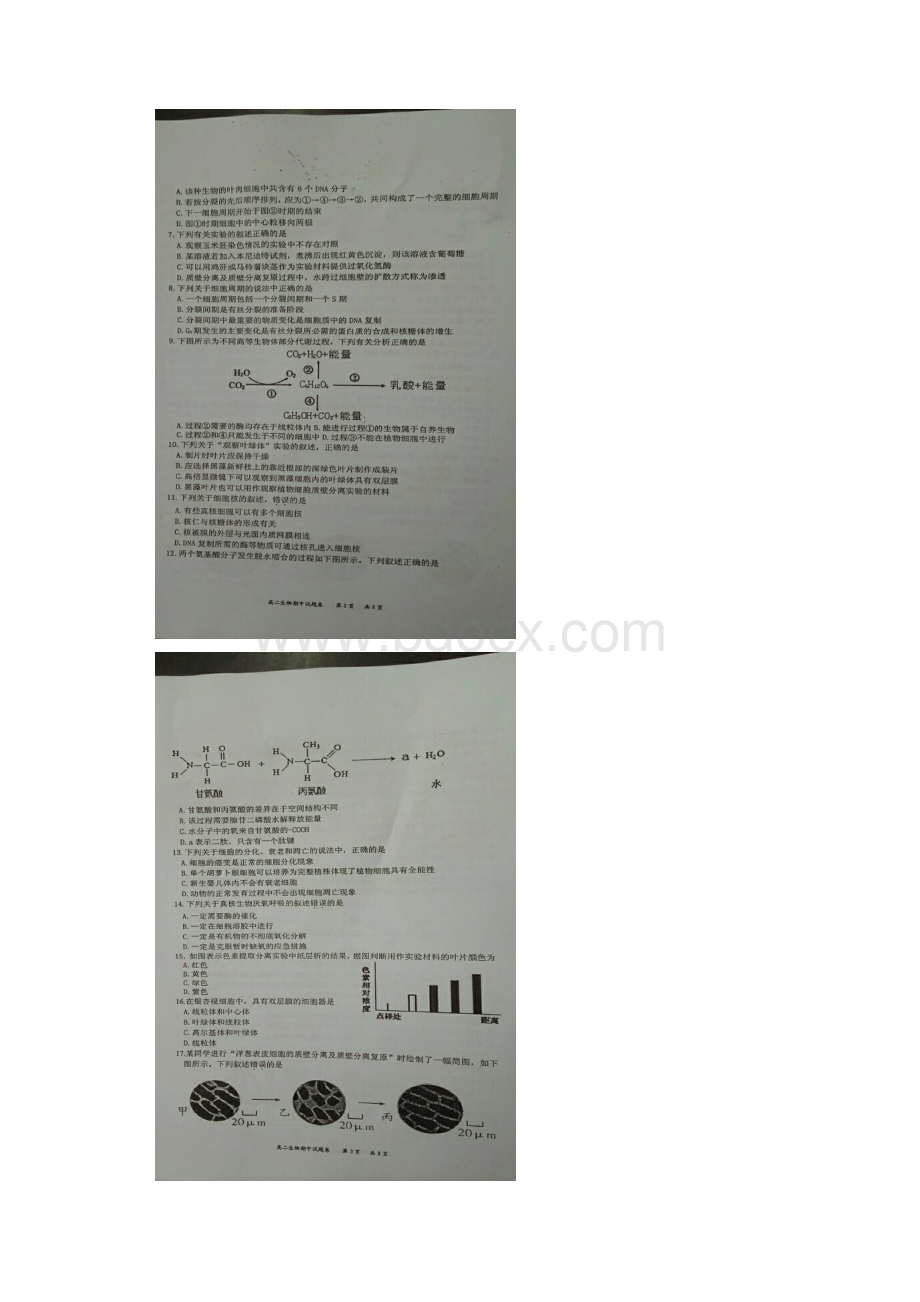 浙江省湖州市长兴县德清县安吉县三县学年高二上学期期中联考生物试题.docx_第2页