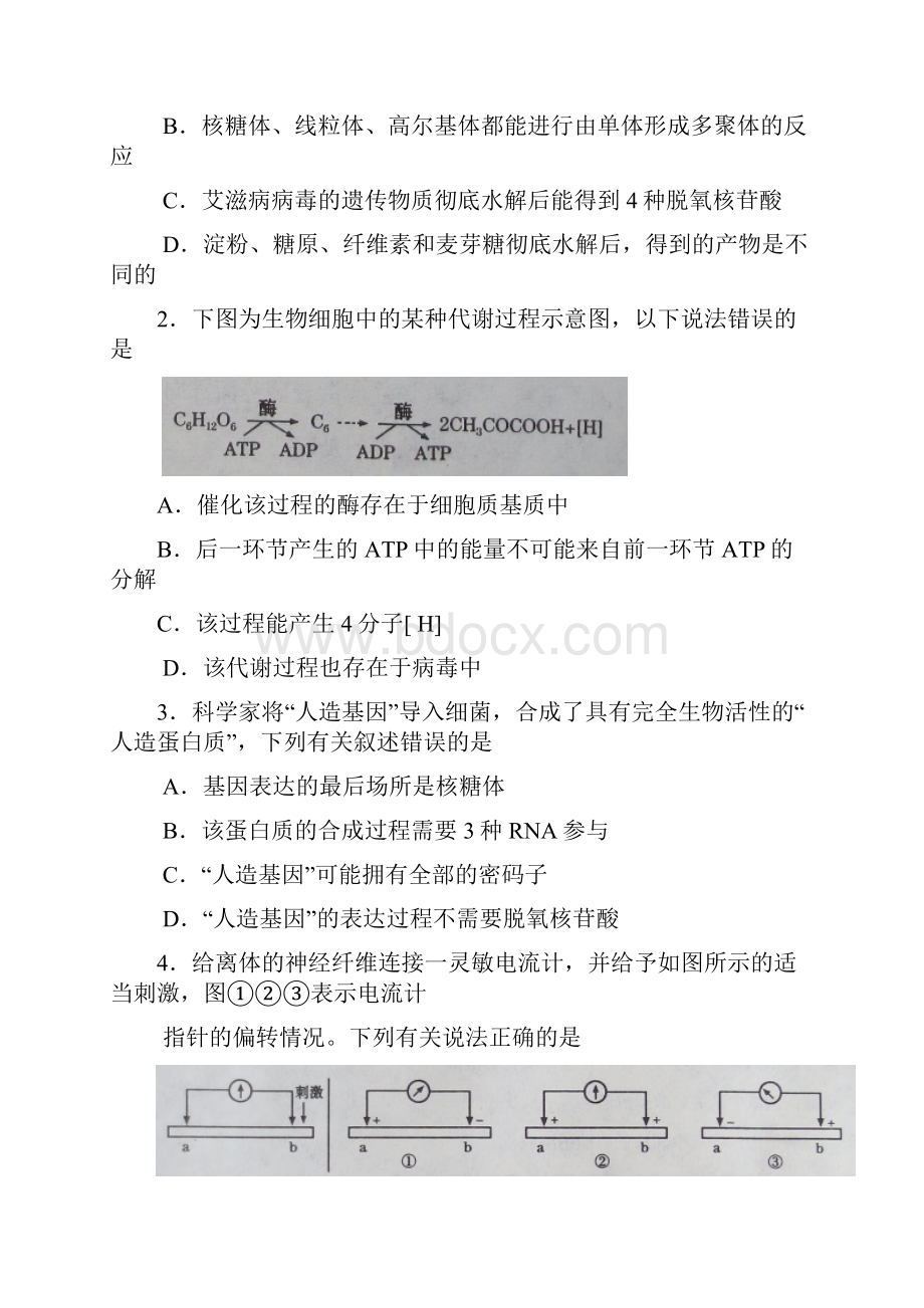 甘肃省届高三第二次高考诊断理综试题 Word版含答案.docx_第2页