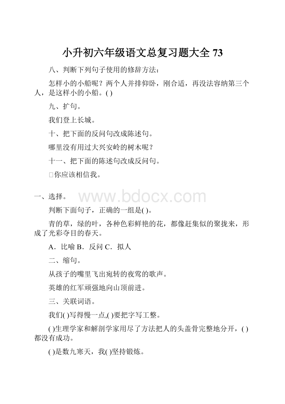 小升初六年级语文总复习题大全73.docx_第1页