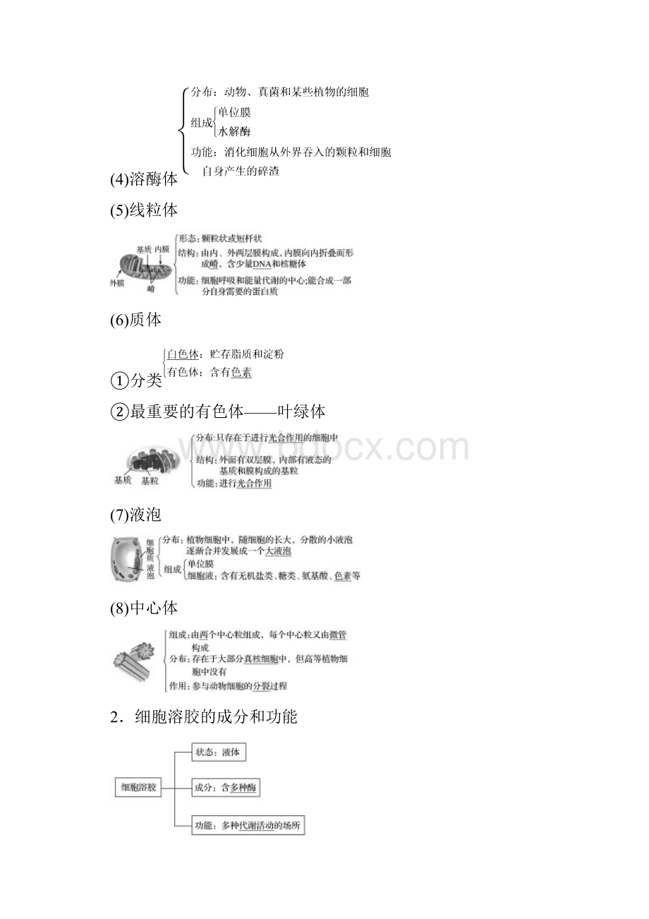 高考生物总复习第1单元细胞的分子组成与结构第5讲细胞质与动植物细胞结构的异同.docx_第2页