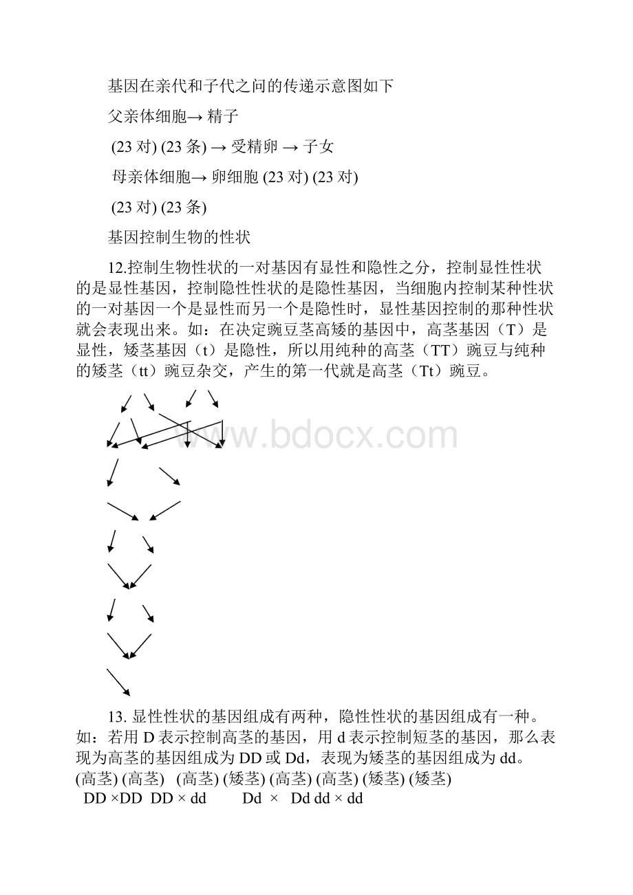 修改的八年级生物下册知识点汇总.docx_第3页