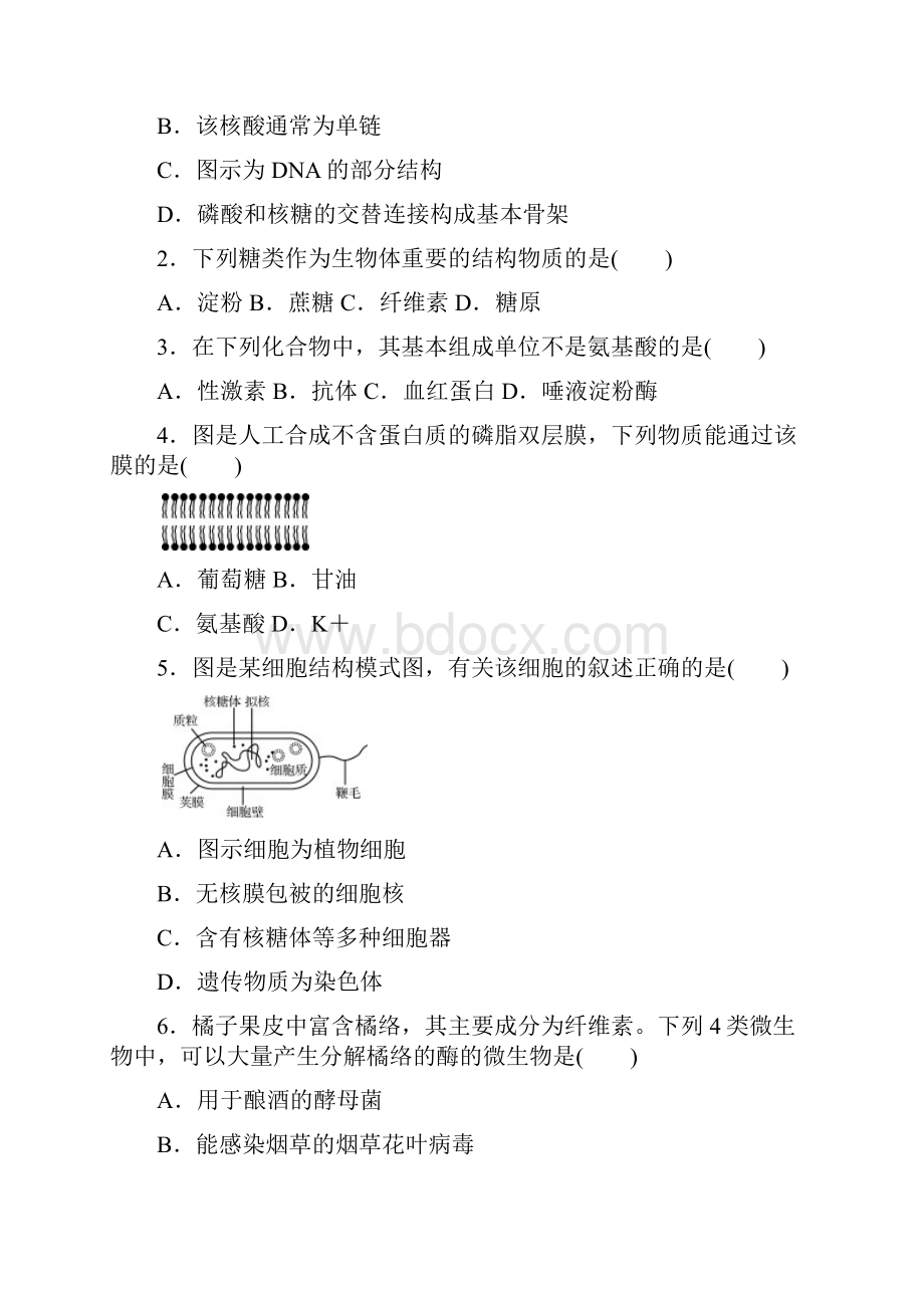 江苏省徐州市学年高二下学期学业水平测试模拟生物试题37e43574cc9b4e4d9d262e82636668c6.docx_第2页