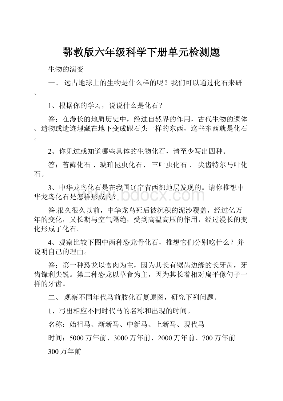 鄂教版六年级科学下册单元检测题.docx