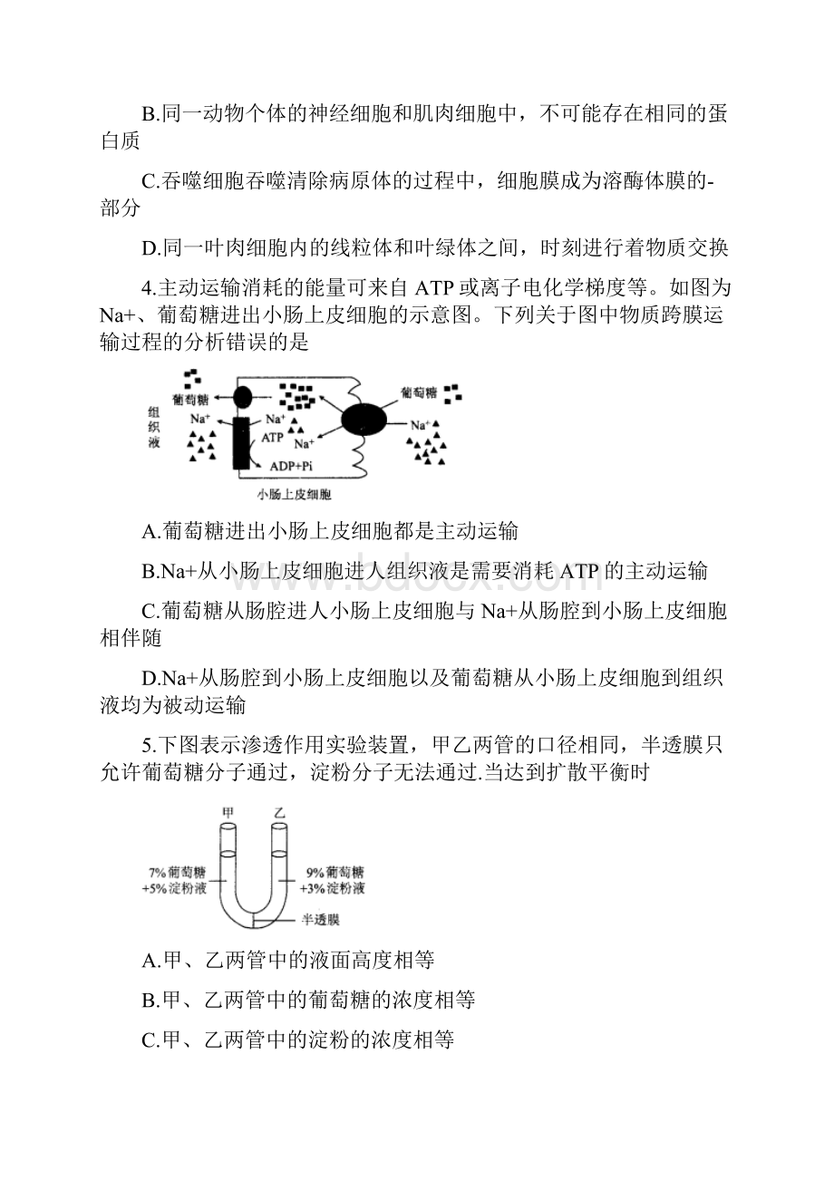 河北省衡水中学届高三上学期四调考试生物试题解答.docx_第2页