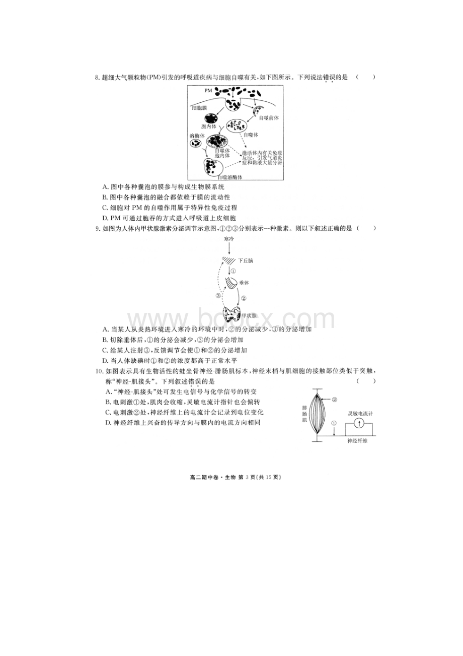 河北衡水中学学年高二生物上学期期中试题扫描版.docx_第3页