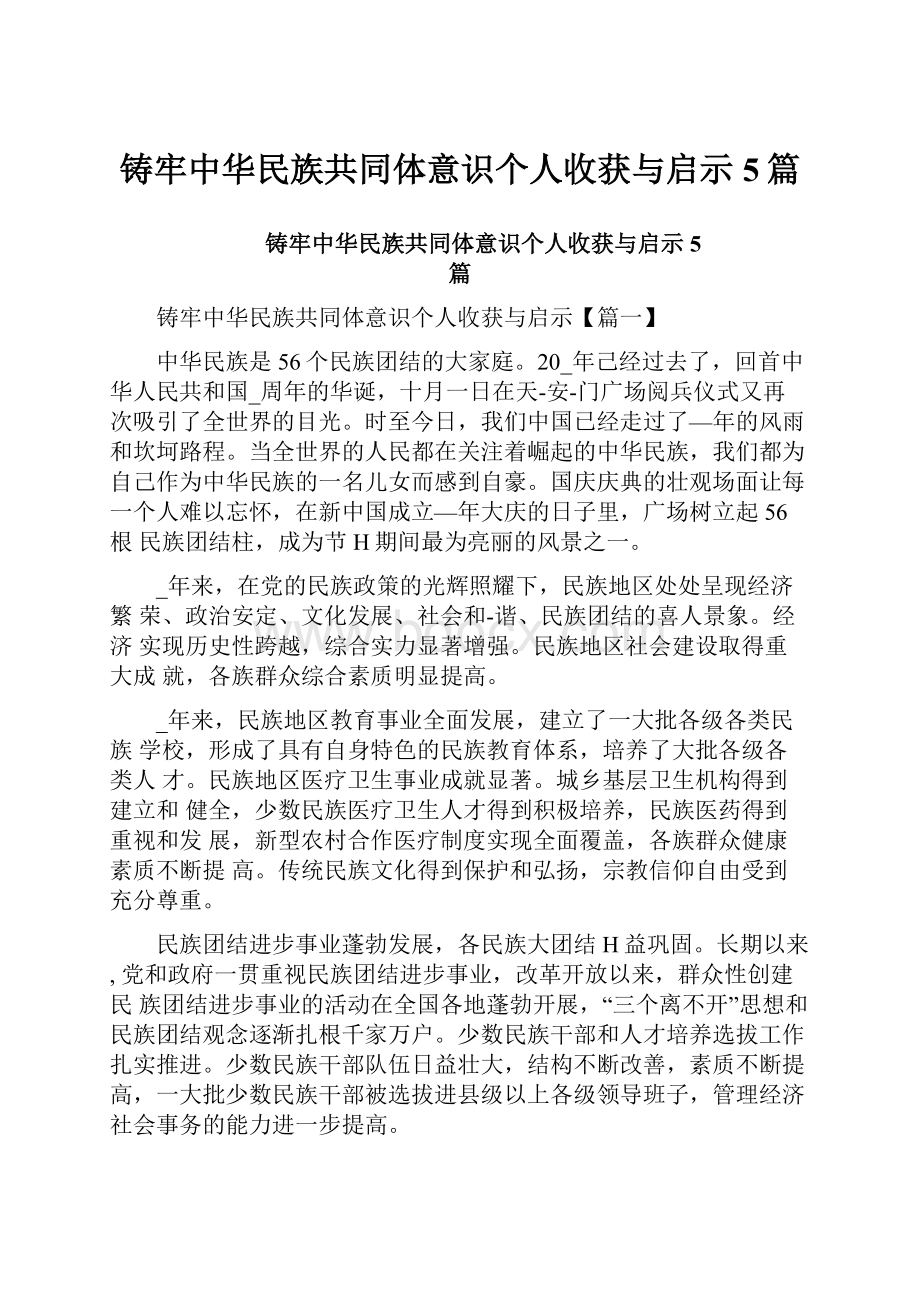 铸牢中华民族共同体意识个人收获与启示5篇.docx