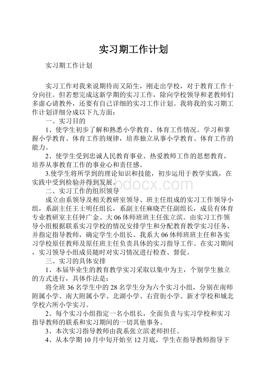 实习期工作计划.docx