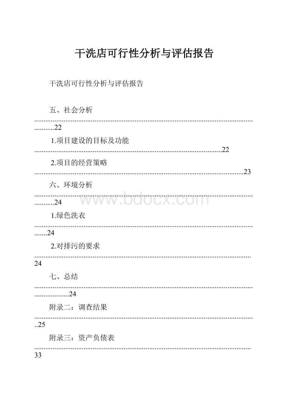 干洗店可行性分析与评估报告.docx