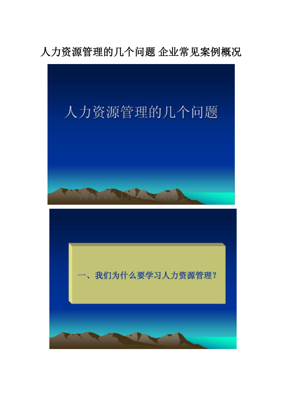 人力资源管理的几个问题 企业常见案例概况.docx_第1页