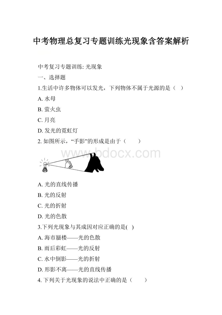 中考物理总复习专题训练光现象含答案解析.docx_第1页