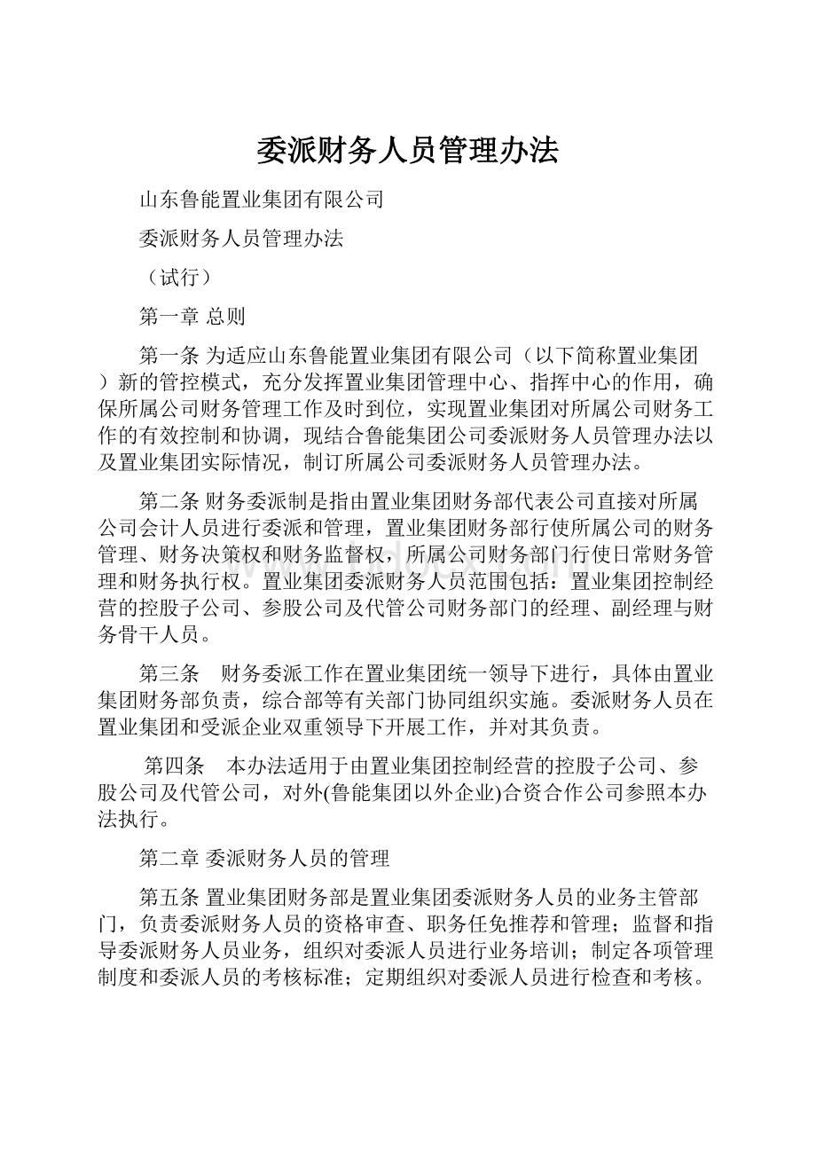 委派财务人员管理办法.docx