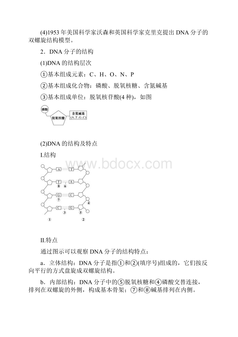 苏教版生物必修2 第4章 第2节 第1课时 DNA分子的结构.docx_第2页