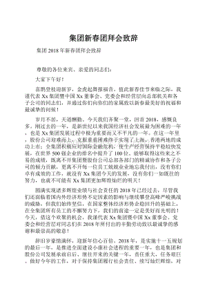 集团新春团拜会致辞.docx