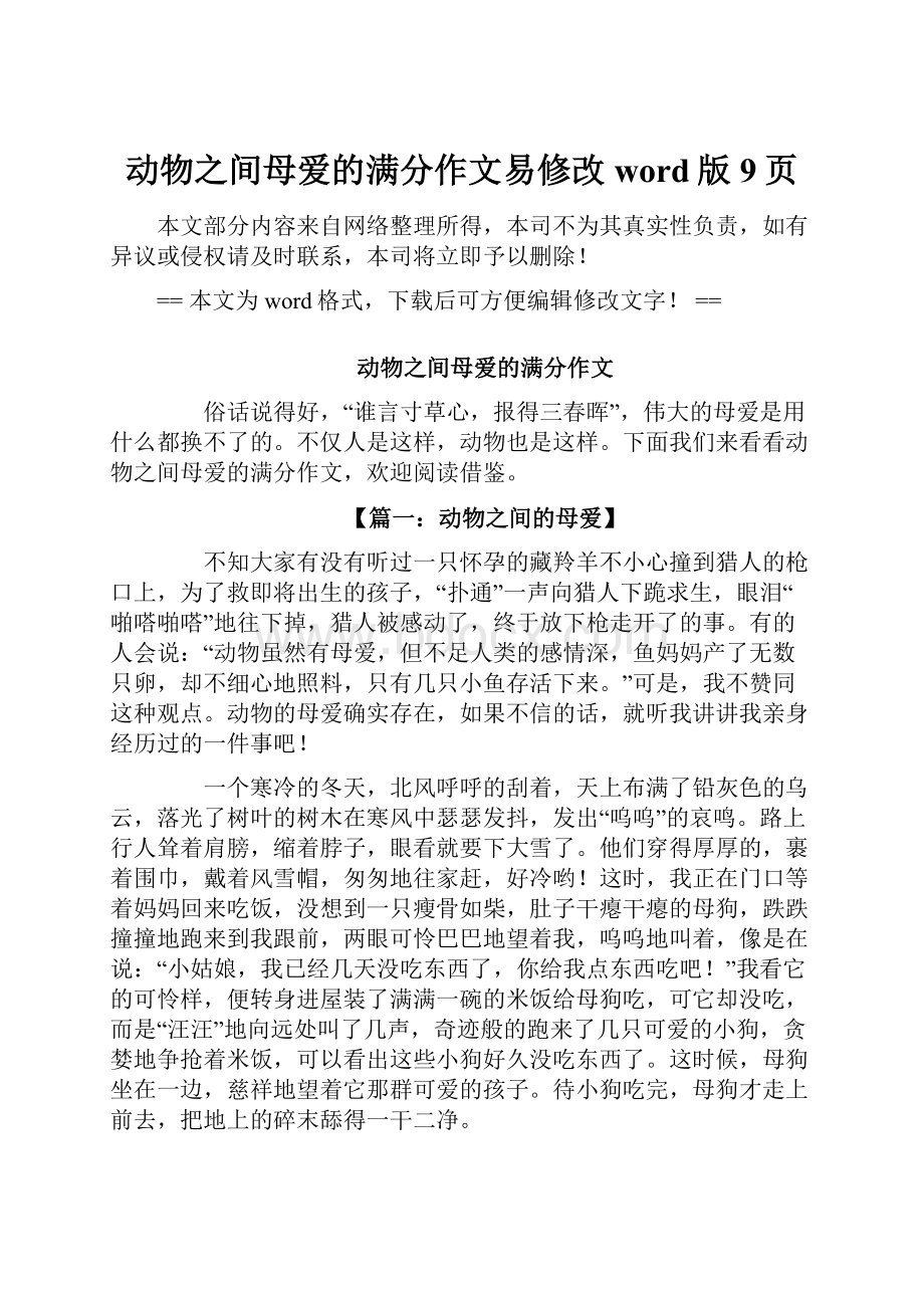 动物之间母爱的满分作文易修改word版 9页.docx_第1页